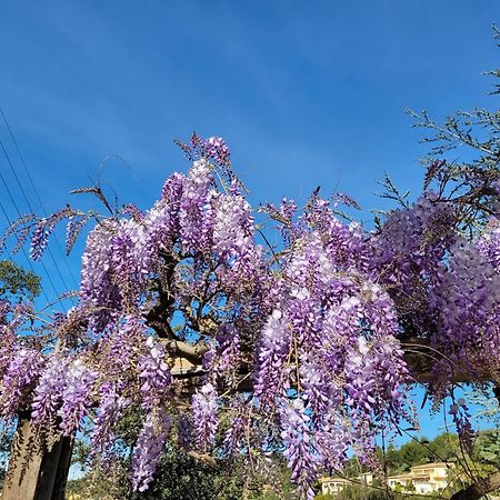 Appartements Dans Villa En Rez De Jardin Hyères Eksteriør bilde