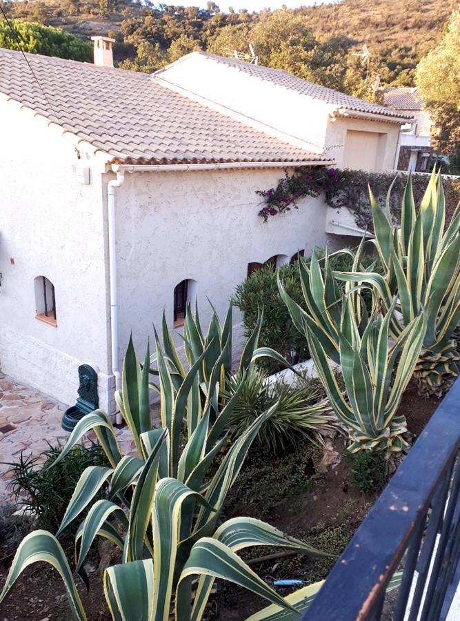 Appartements Dans Villa En Rez De Jardin Hyères Eksteriør bilde