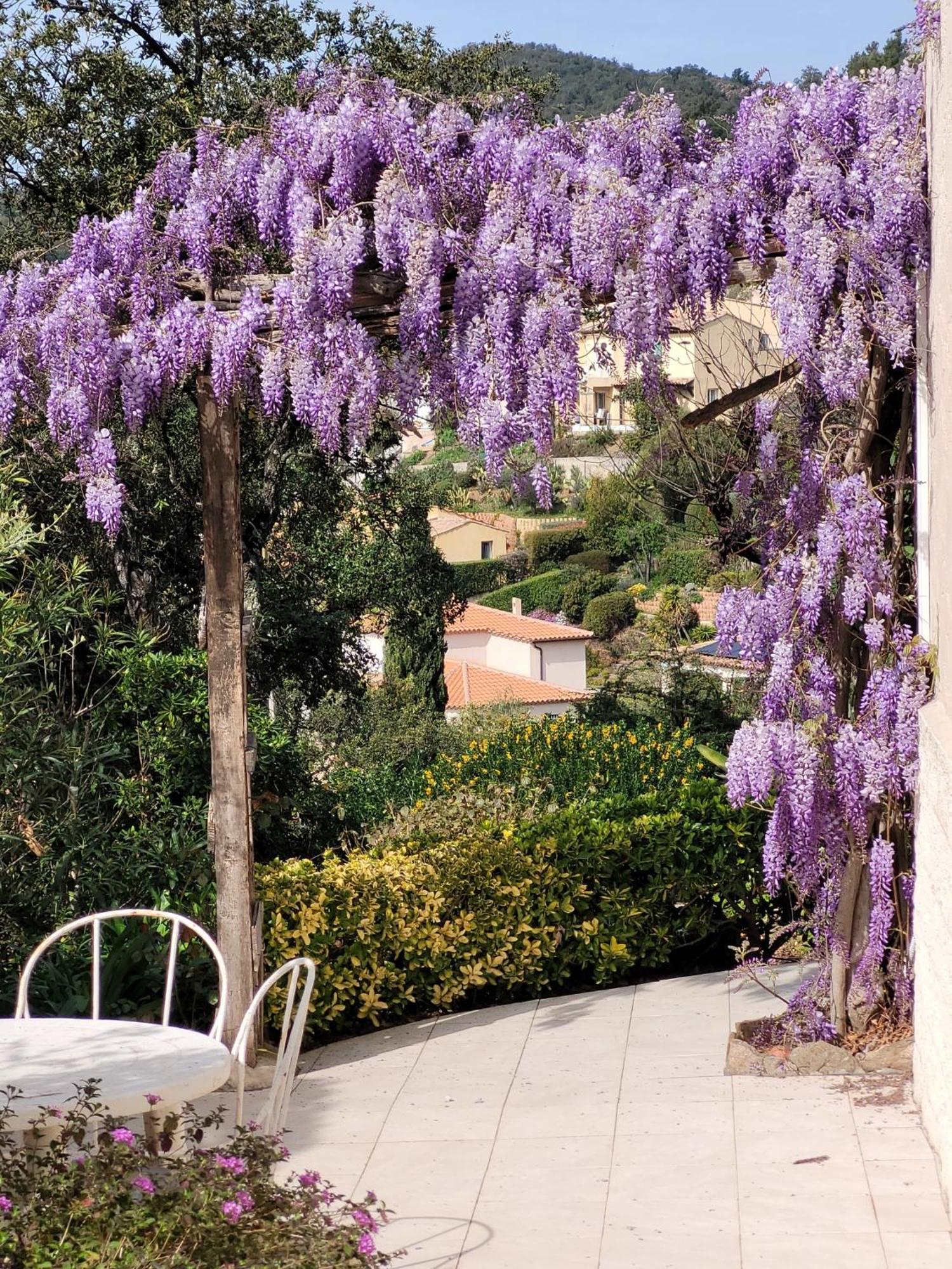 Appartements Dans Villa En Rez De Jardin Hyères Eksteriør bilde